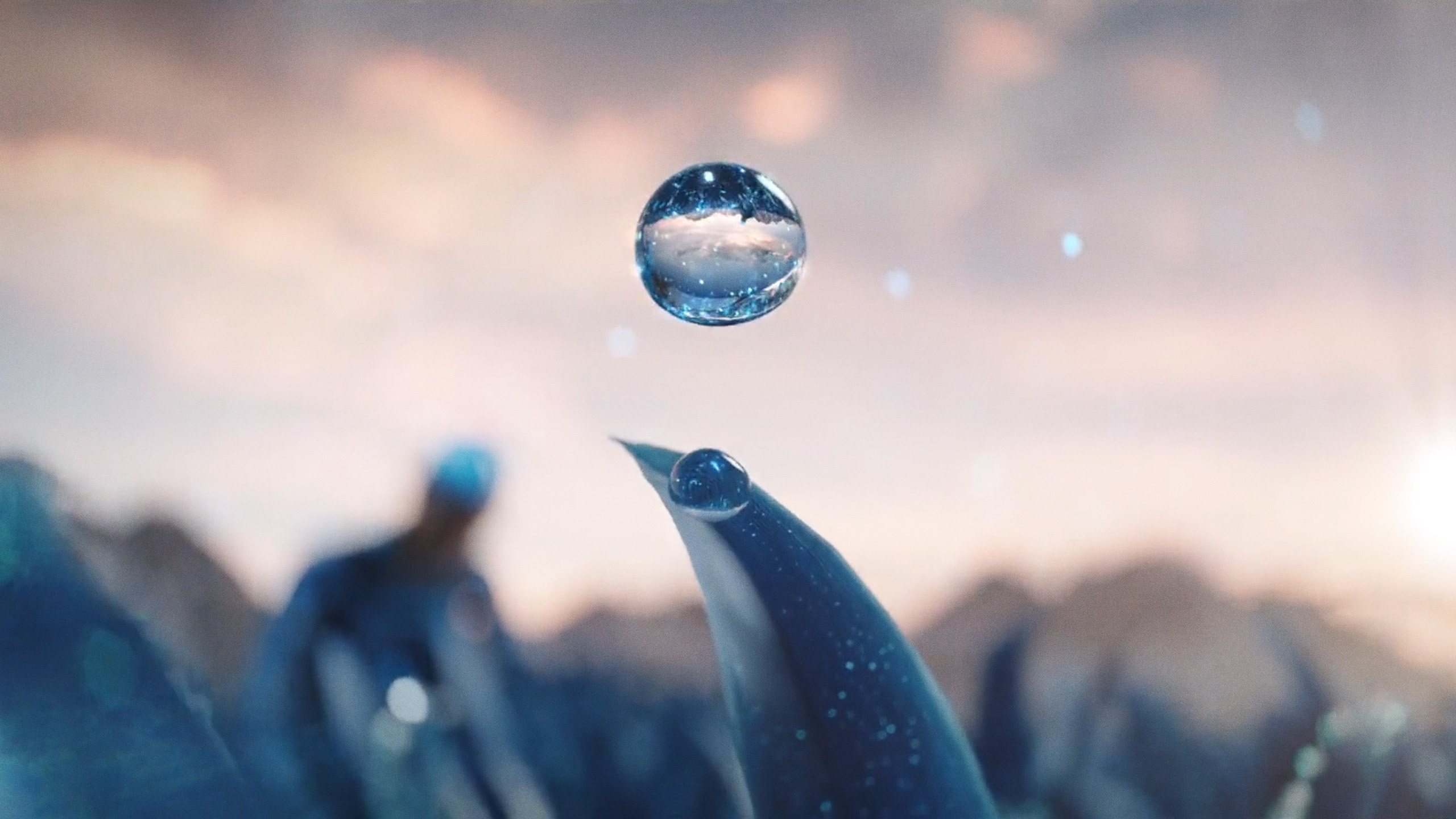 O2 CZ Internet – Január 2022