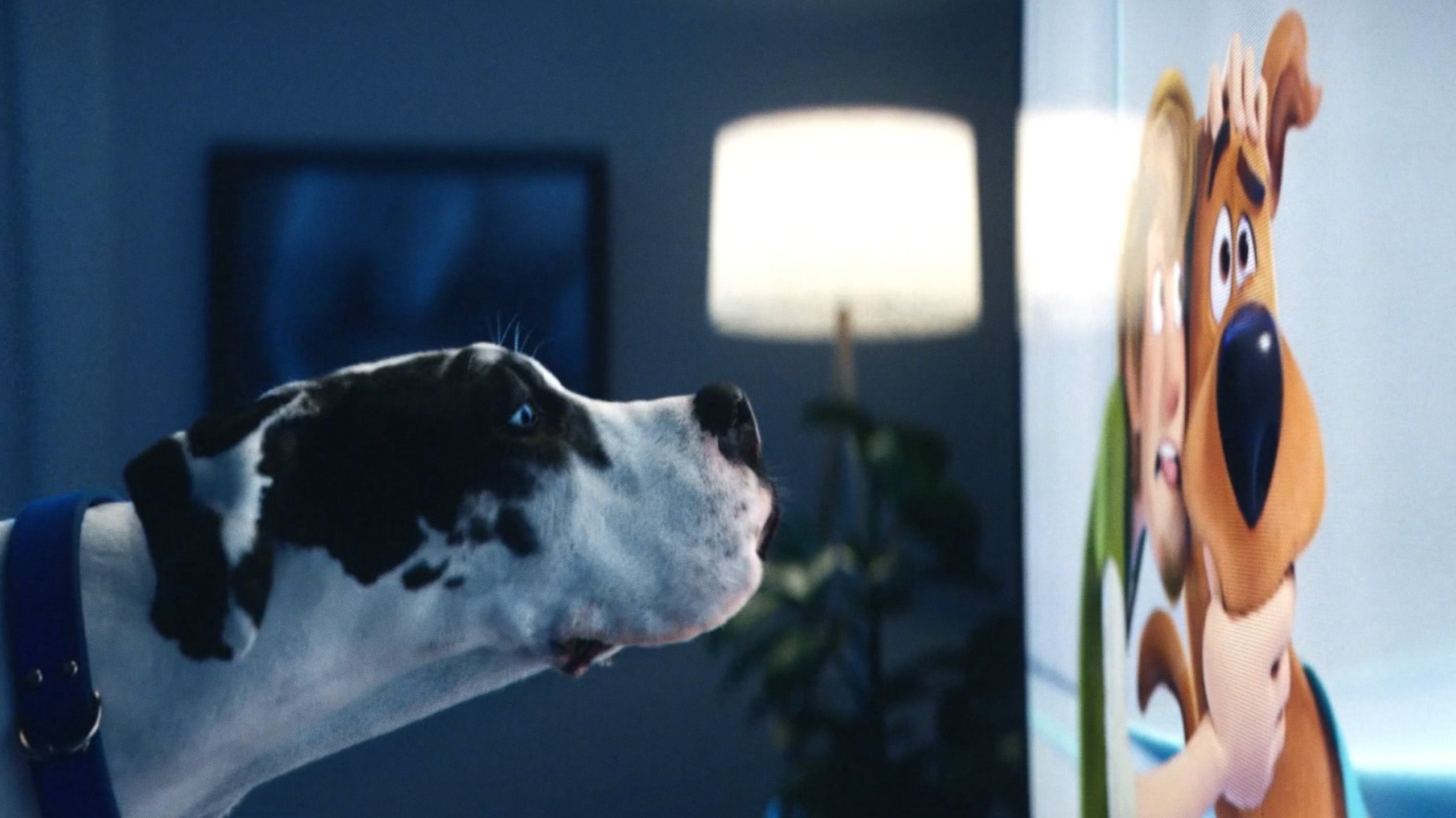O2 SK Jarná kampaň HBO MAX, 2022